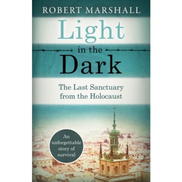 Light in the Dark (häftad, eng)