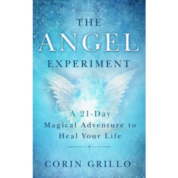 The Angel Experiment (häftad, eng)