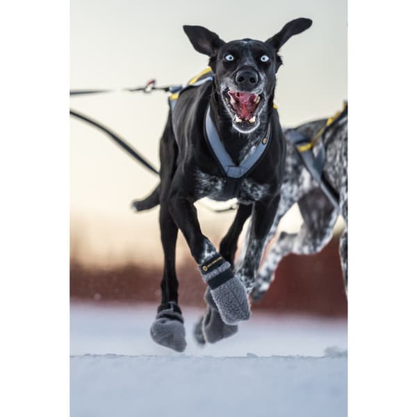Hundskor High Fleece 4p Grå Mini