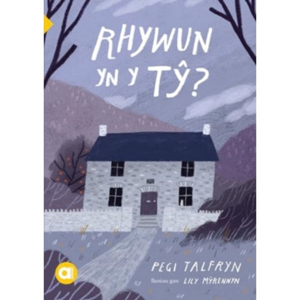 Cyfres Amdani: Rhywun yn y Ty? (häftad, wel)