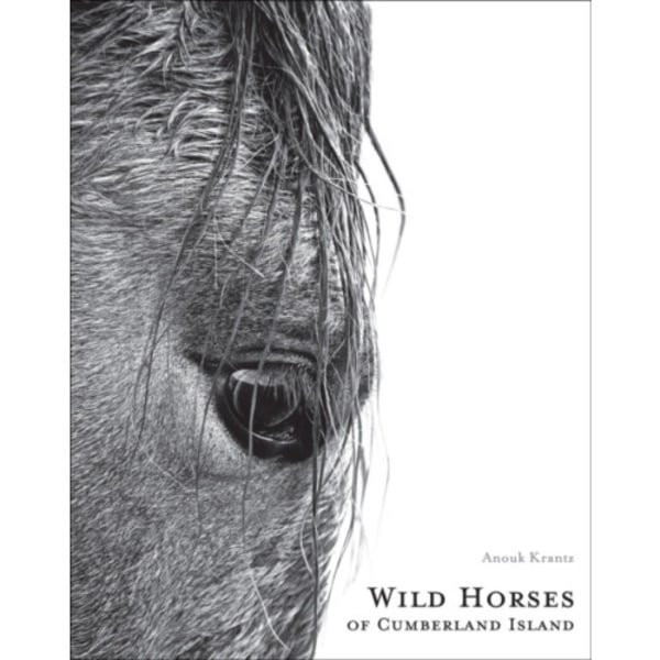 Wild Horses of Cumberland Island (inbunden, eng)