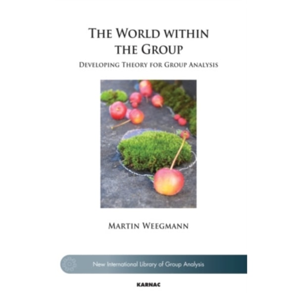 The World within the Group (häftad, eng)