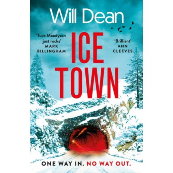 Ice Town (inbunden, eng)
