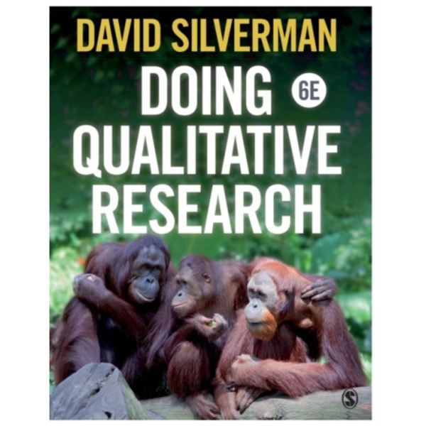 Doing Qualitative Research (häftad, eng)