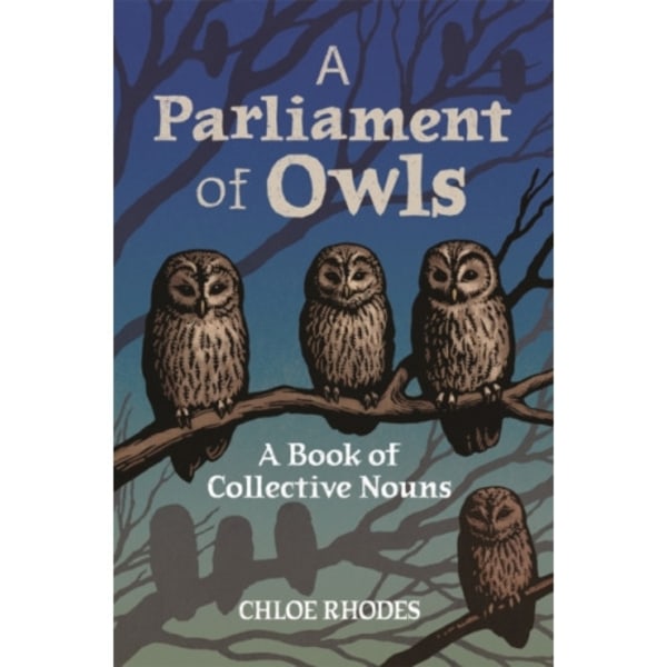 A Parliament of Owls (inbunden, eng)