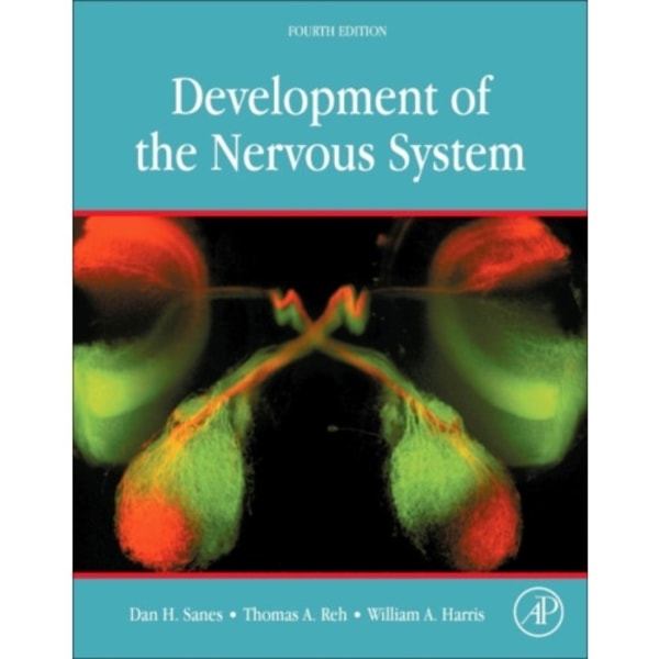 Development of the Nervous System (inbunden, eng)