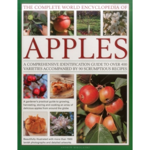 The Complete World Encyclopedia of Apples (häftad, eng)