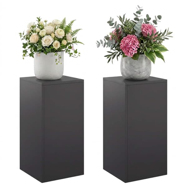 Växtställ 2 pcs Svart 30 x 30 x 60 cm Stål