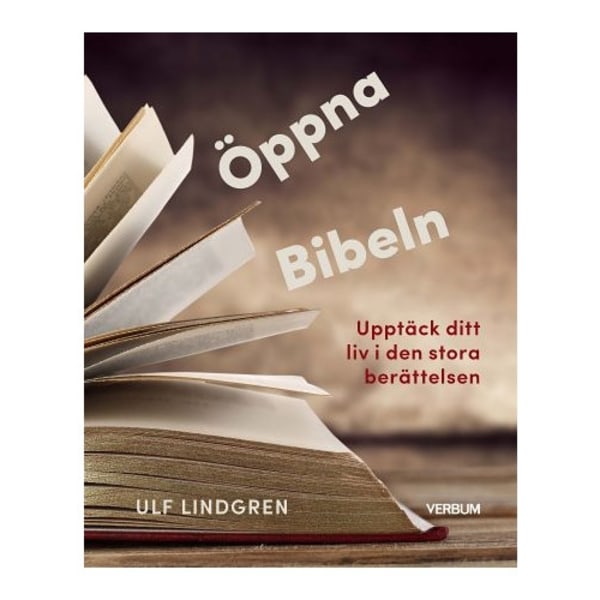 Öppna Bibeln : upptäck ditt liv i den stora berättelsen (häftad)