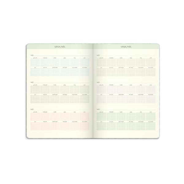 Life Planner Dream & Do 2027