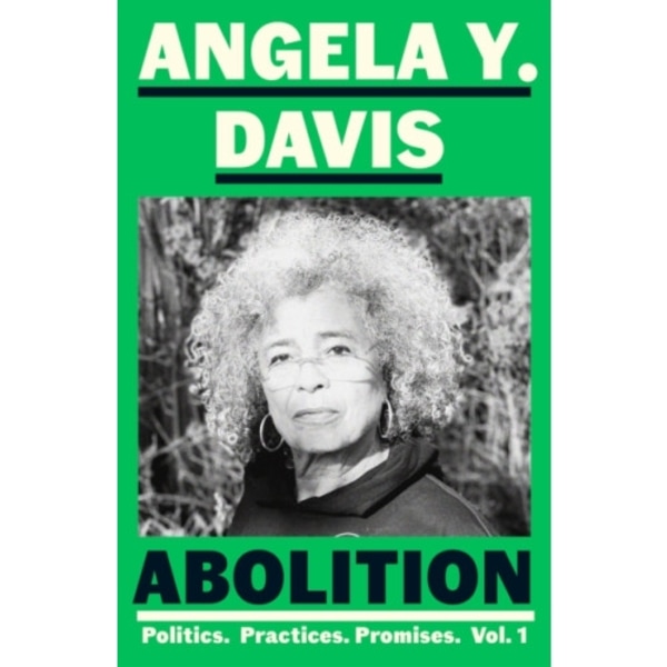 Abolition: Politics, Practices, Promises, Vol. 1 (häftad, eng)