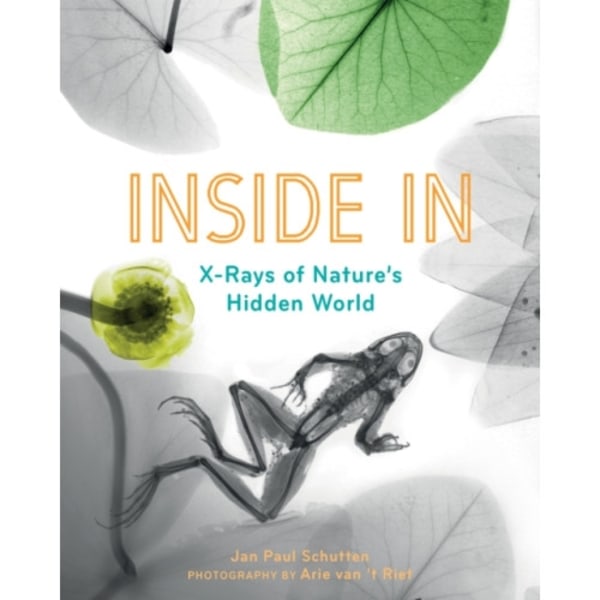 Inside In (häftad, eng)