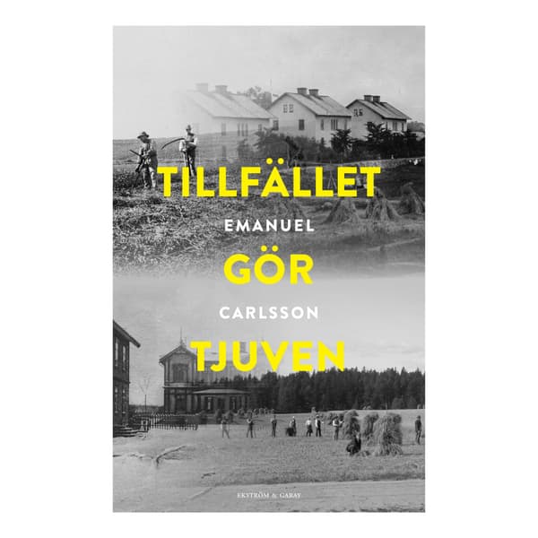 Tillfället gör tjuven (inbunden)