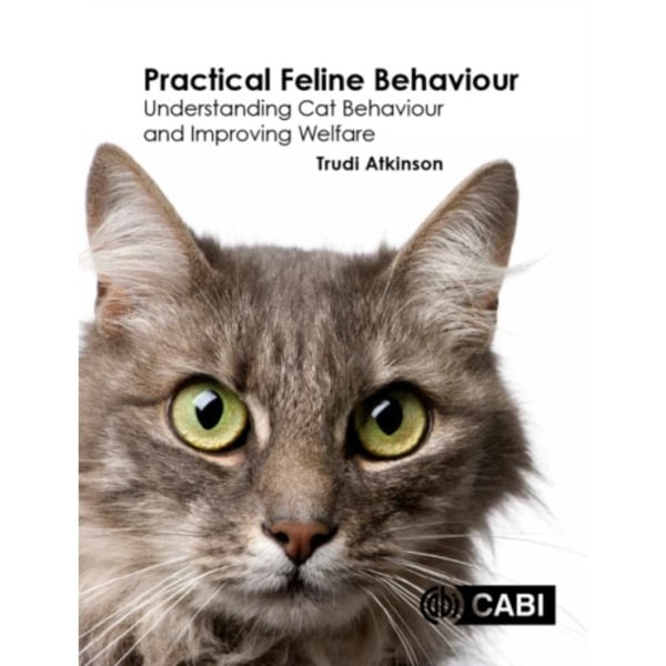 Practical Feline Behaviour (häftad, eng)