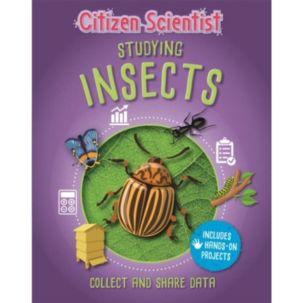 Citizen Scientist: Studying Insects (häftad, eng)
