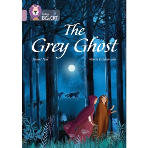 The Grey Ghost (häftad, eng)