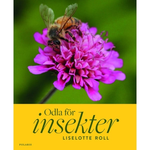 Odla för insekter (inbunden)