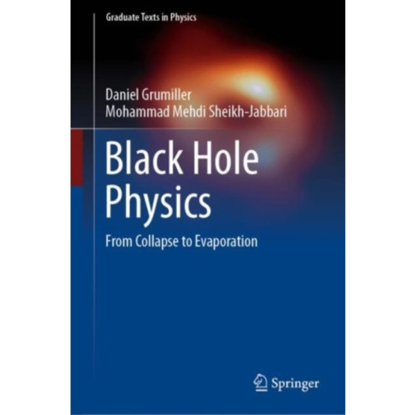 Black Hole Physics (inbunden, eng)
