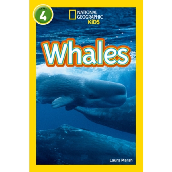 Whales (häftad, eng)