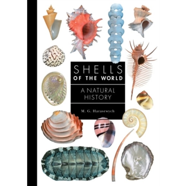 Shells of the World (inbunden, eng)