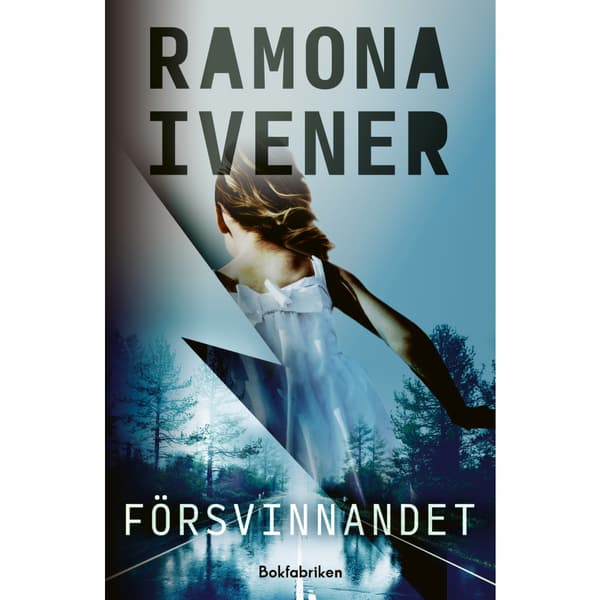 Försvinnandet (inbunden)
