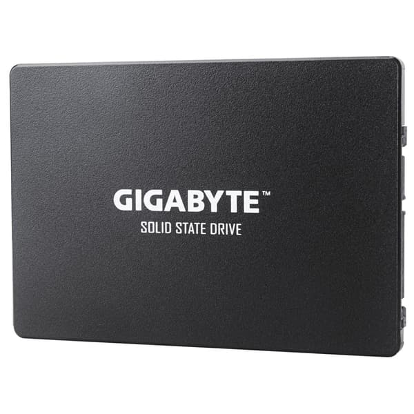 Gigabyte GP-GSTFS31100TNTD SSD-hårddisk 2.5" 1 TB SATA