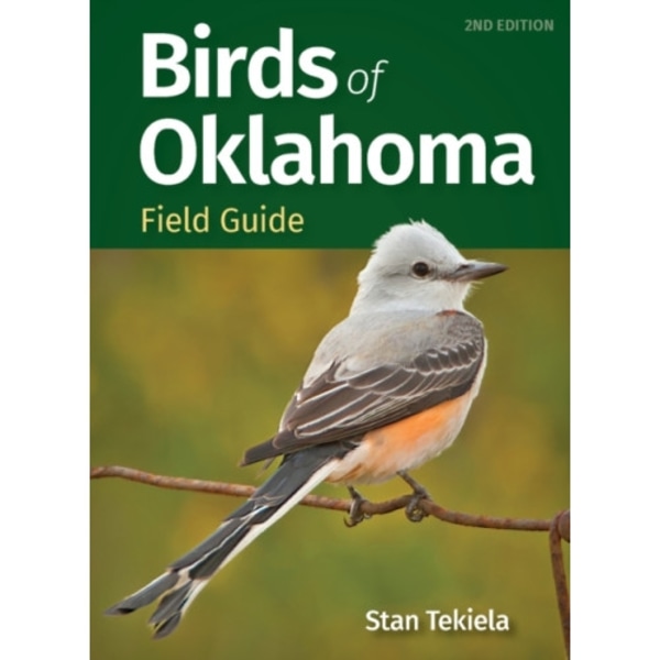 Birds of Oklahoma Field Guides (häftad, eng)