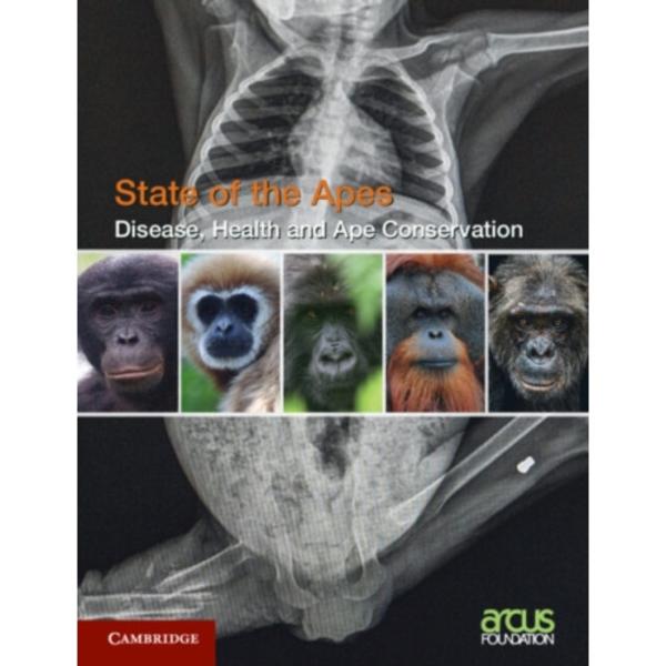 Disease, Health and Ape Conservation: Volume 5 (häftad, eng)