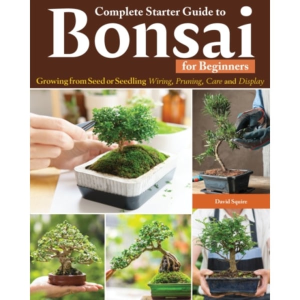 Complete Starter Guide to Bonsai (häftad, eng)