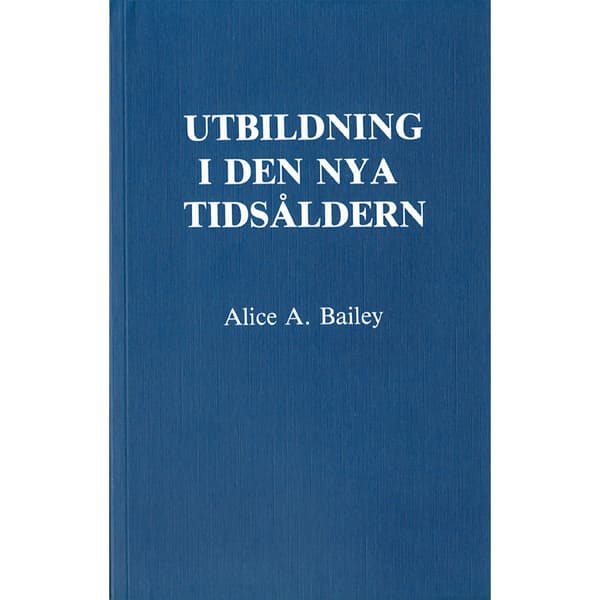 Utbildning i den nya tidsåldern (häftad)