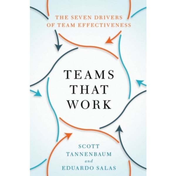 Teams That Work (häftad, eng)