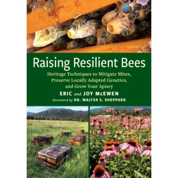 Raising Resilient Bees (häftad, eng)