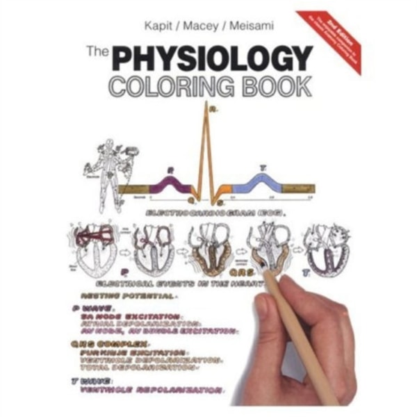 Physiology Coloring Book, The (häftad, eng)