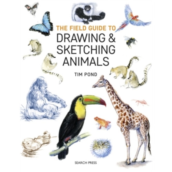 The Field Guide to Drawing & Sketching Animals (häftad, eng)