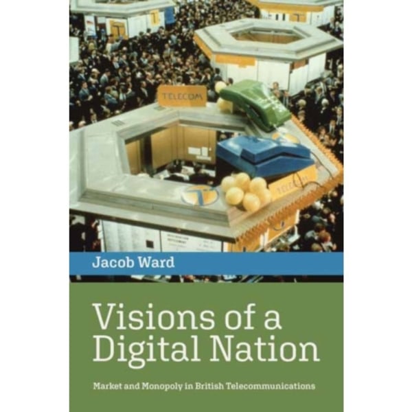 Visions of a Digital Nation (häftad, eng)