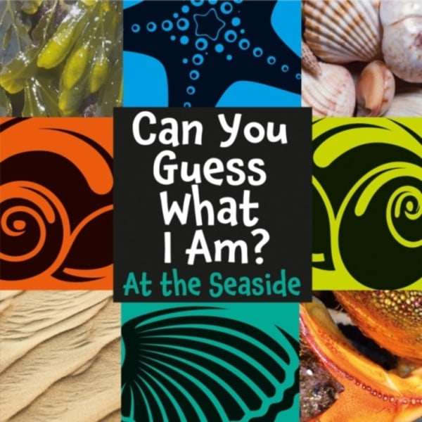 Can You Guess What I Am?: At the Seaside (häftad, eng)