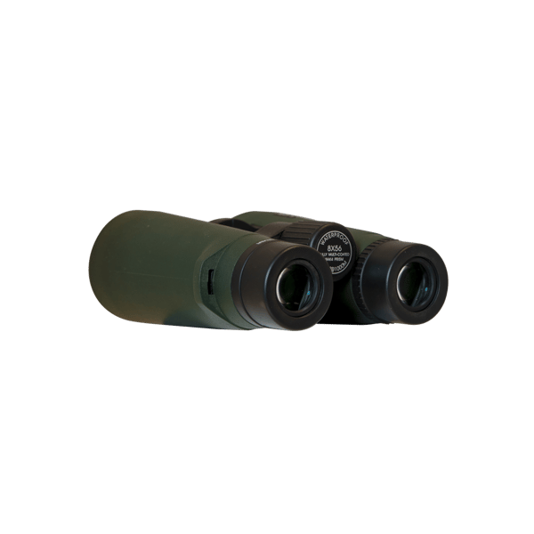 Focus Observer 8x56 HD