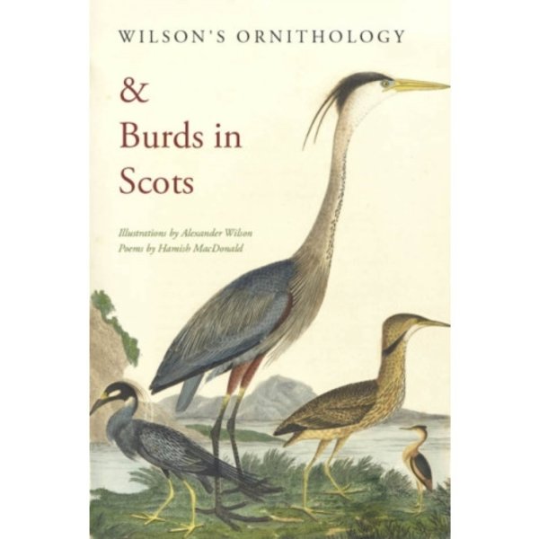 Wilson's Ornithology and Burds in Scots (häftad, eng)