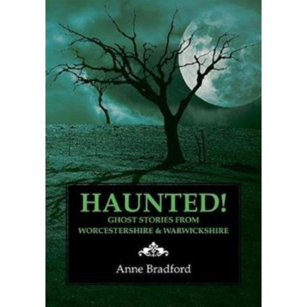 Haunted! (häftad, eng)