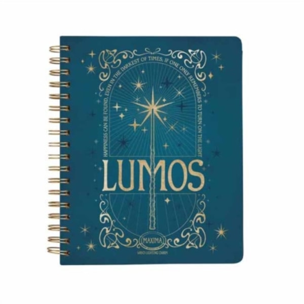 Harry Potter: Spells and Potions 12-Month Undated Planner (häftad, eng)
