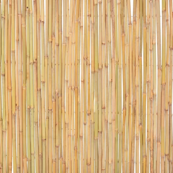 Staket bambu 300x100 cm