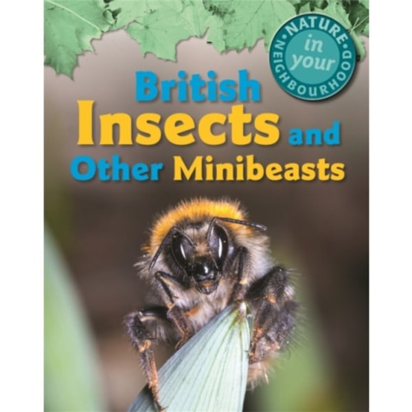 Nature in Your Neighbourhood: British Insects and other Minibeasts (häftad, eng)