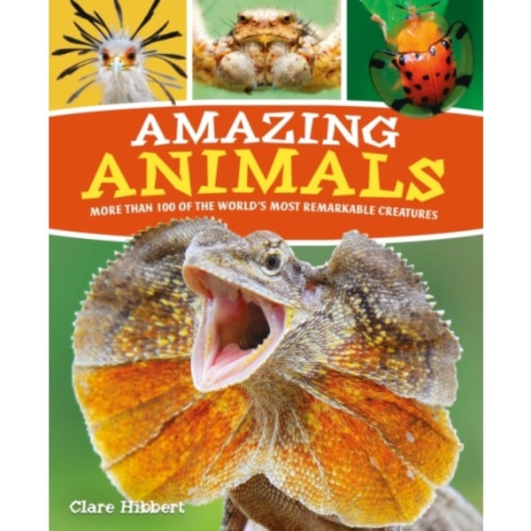 Amazing Animals (häftad, eng)