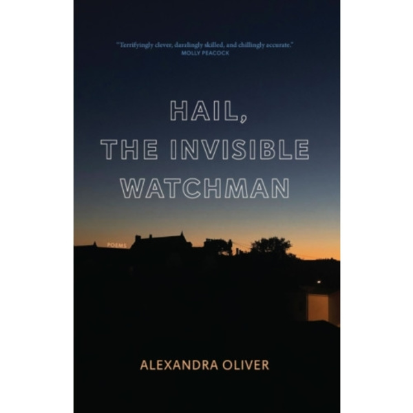 Hail, The Invisible Watchman (häftad, eng)