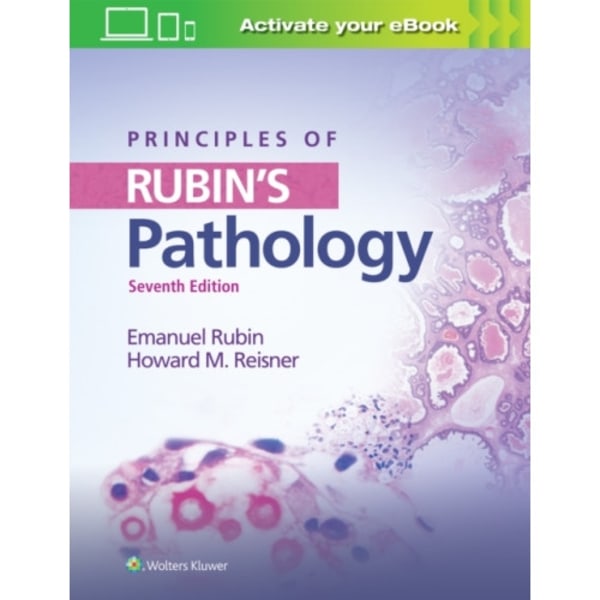 Principles of Rubin's Pathology (häftad, eng)