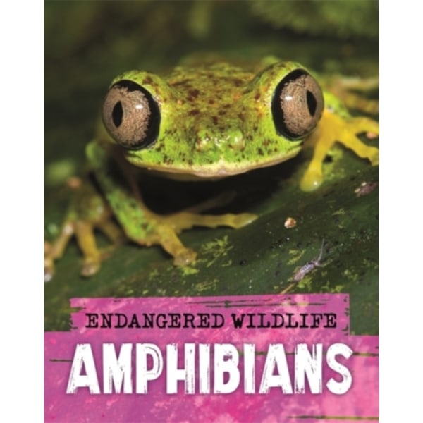 Endangered Wildlife: Rescuing Amphibians (häftad, eng)