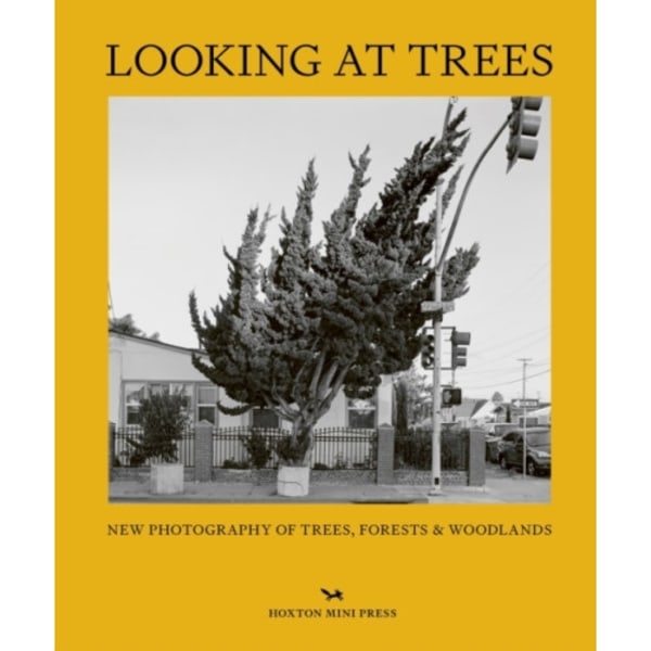 Looking At Trees (inbunden, eng)