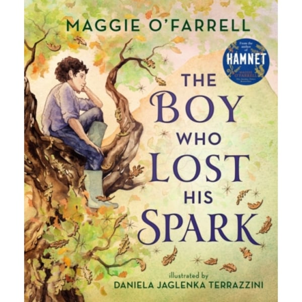 The Boy Who Lost His Spark (inbunden, eng)