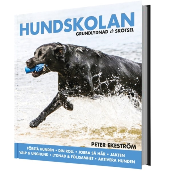 Hundskolan : grundlydnad & skötsel (inbunden)