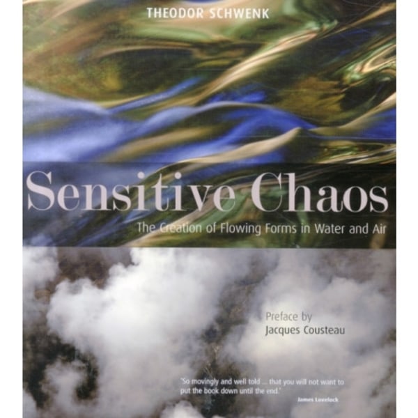 Sensitive Chaos (häftad, eng)